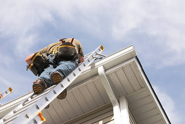 Professional Roofing Services